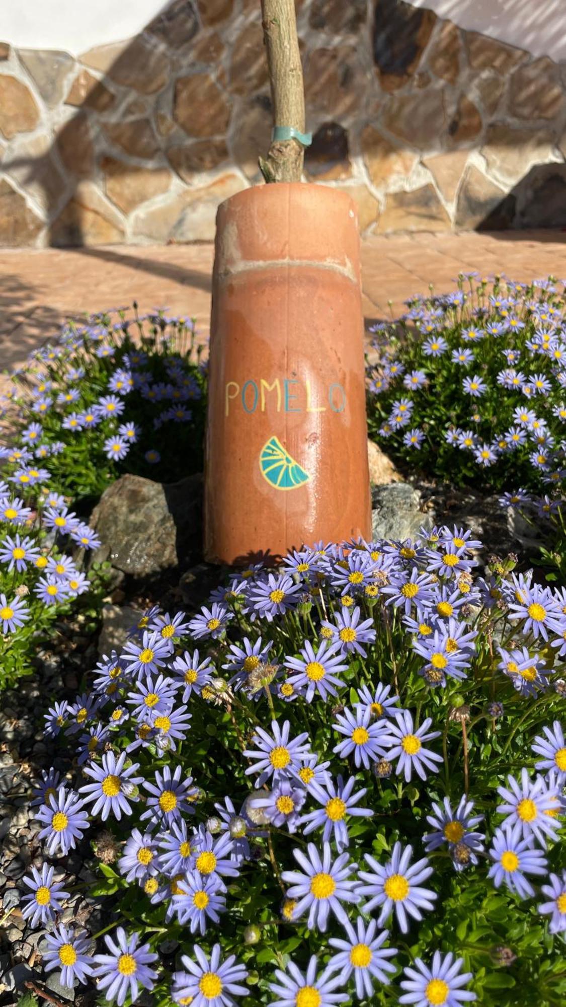 Finca Valle Verde Алора Екстериор снимка