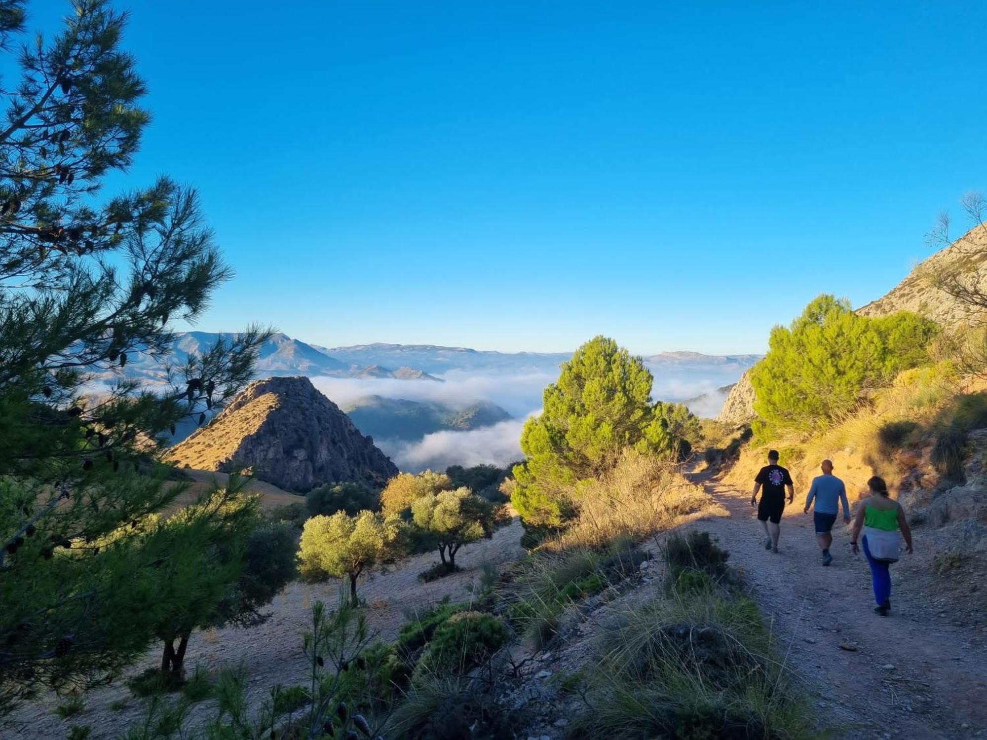 Finca Valle Verde Алора Екстериор снимка