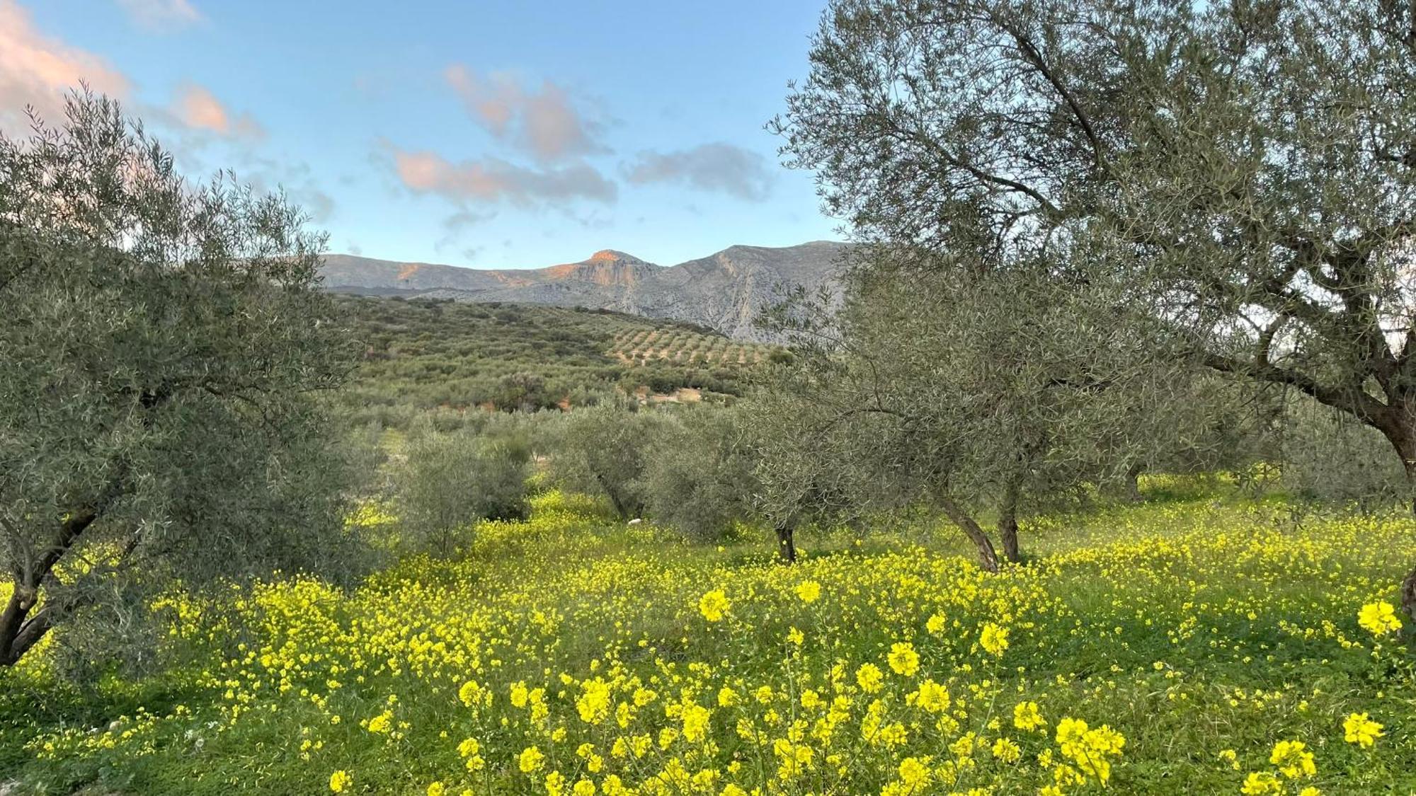 Finca Valle Verde Алора Екстериор снимка