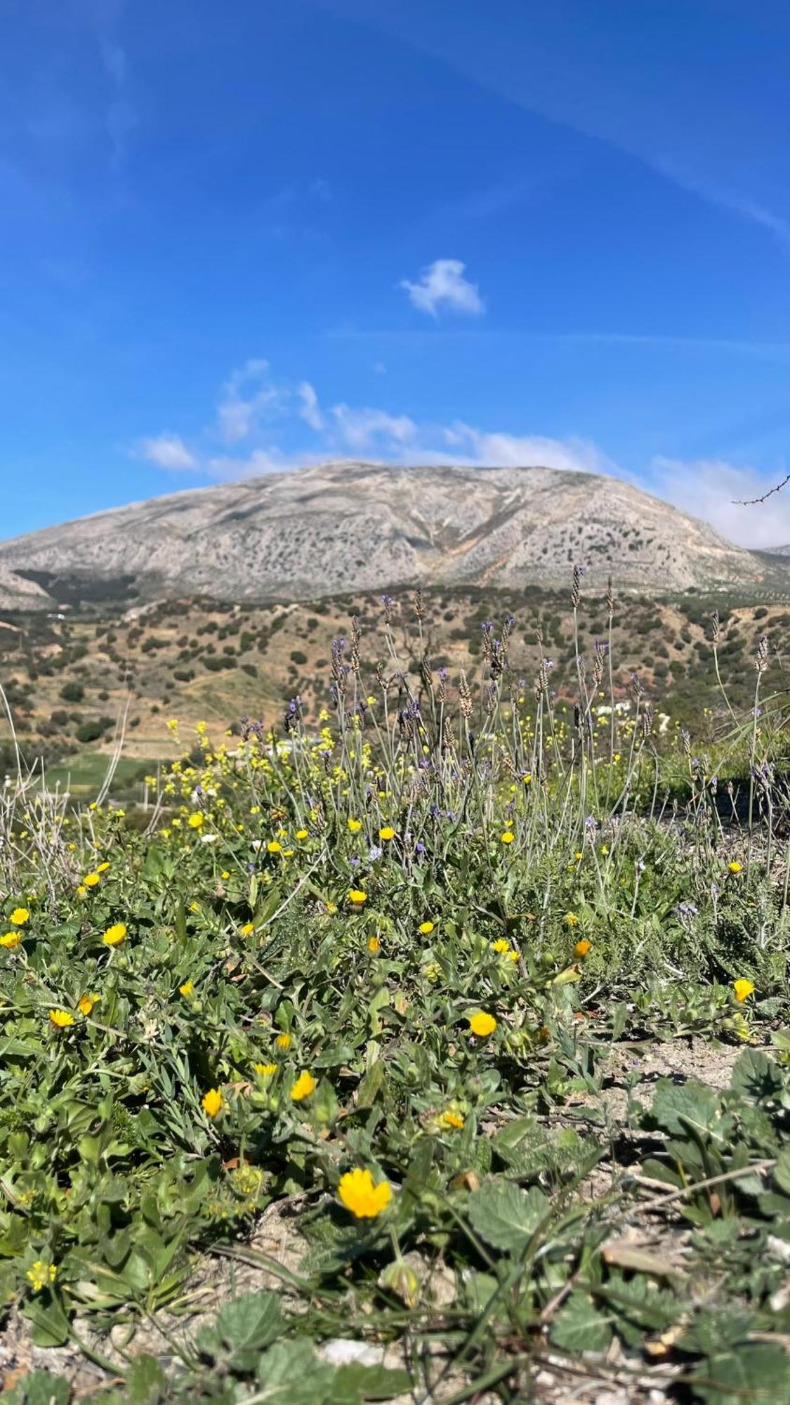 Finca Valle Verde Алора Екстериор снимка