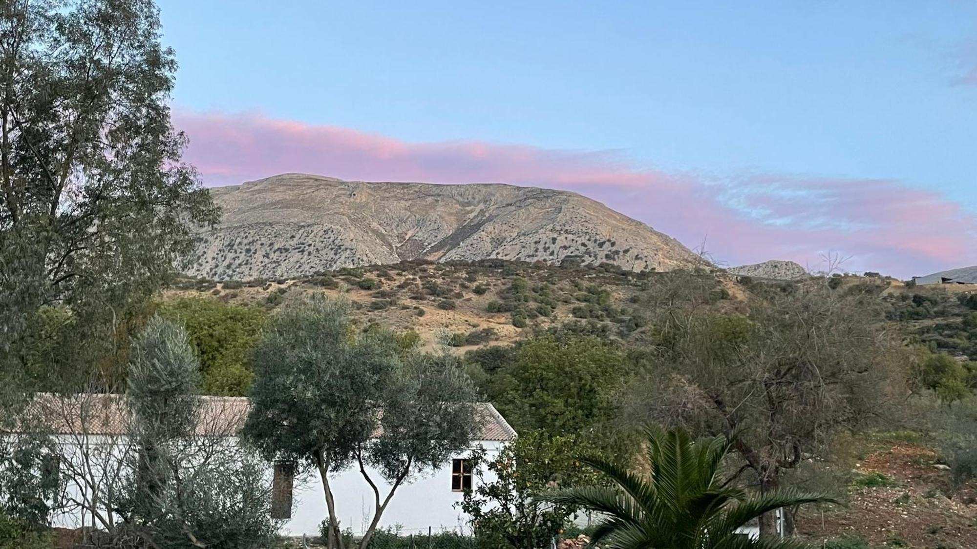 Finca Valle Verde Алора Екстериор снимка