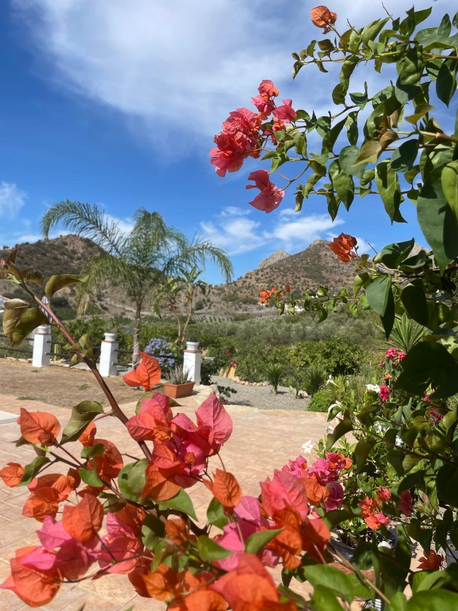 Finca Valle Verde Алора Екстериор снимка