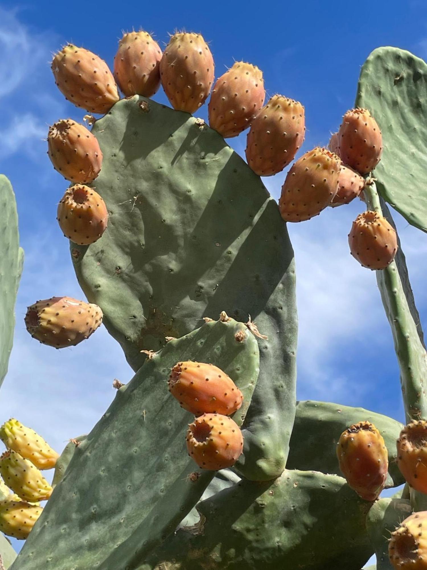 Finca Valle Verde Алора Екстериор снимка
