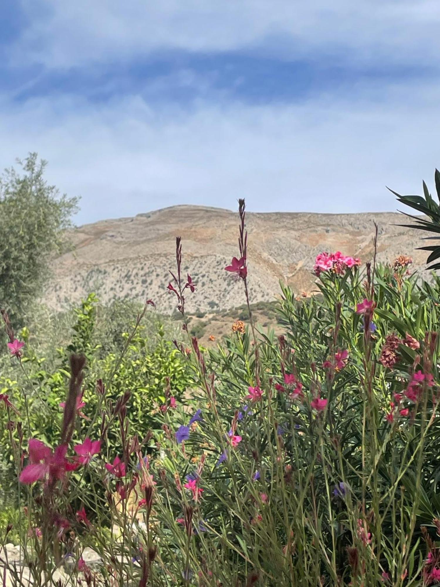 Finca Valle Verde Алора Екстериор снимка