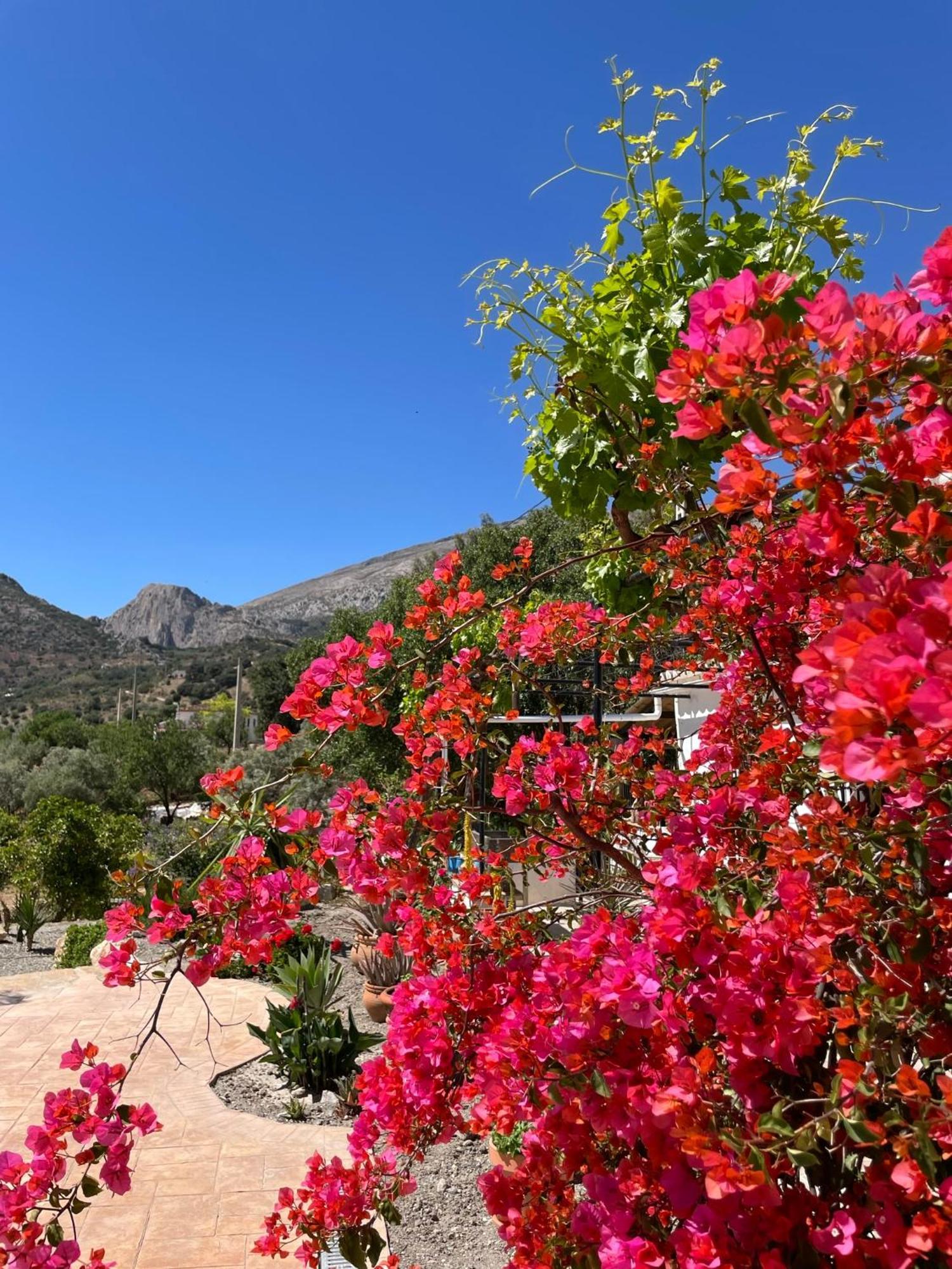 Finca Valle Verde Алора Екстериор снимка