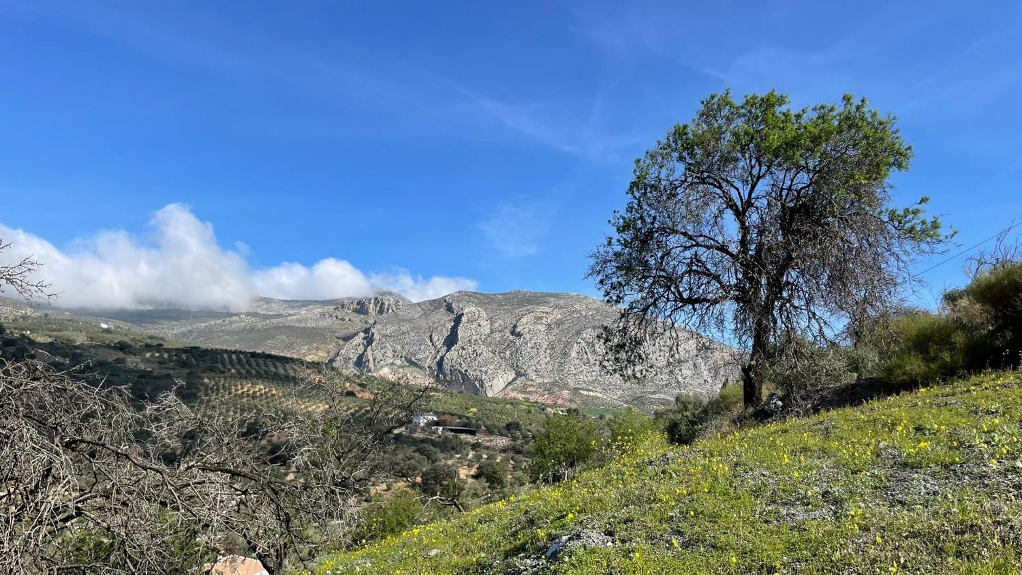 Finca Valle Verde Алора Екстериор снимка