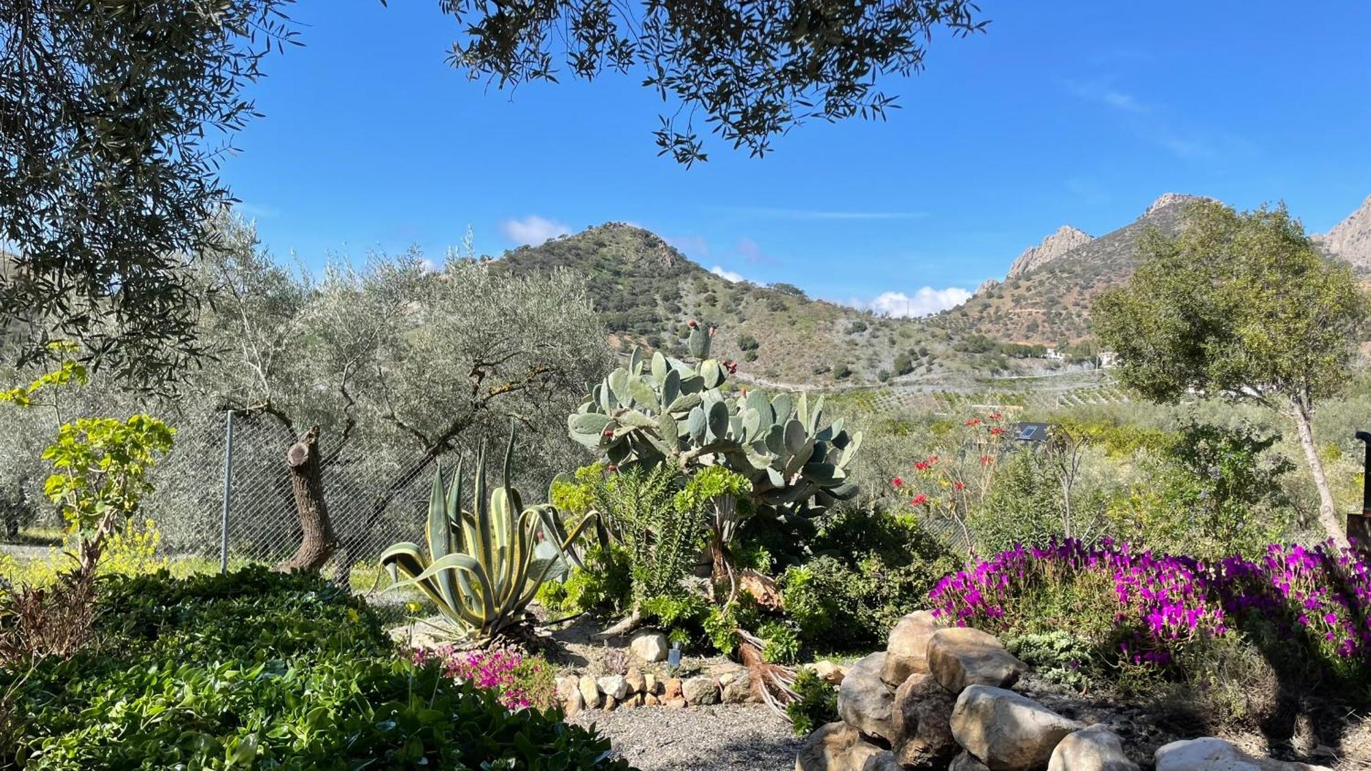 Finca Valle Verde Алора Екстериор снимка