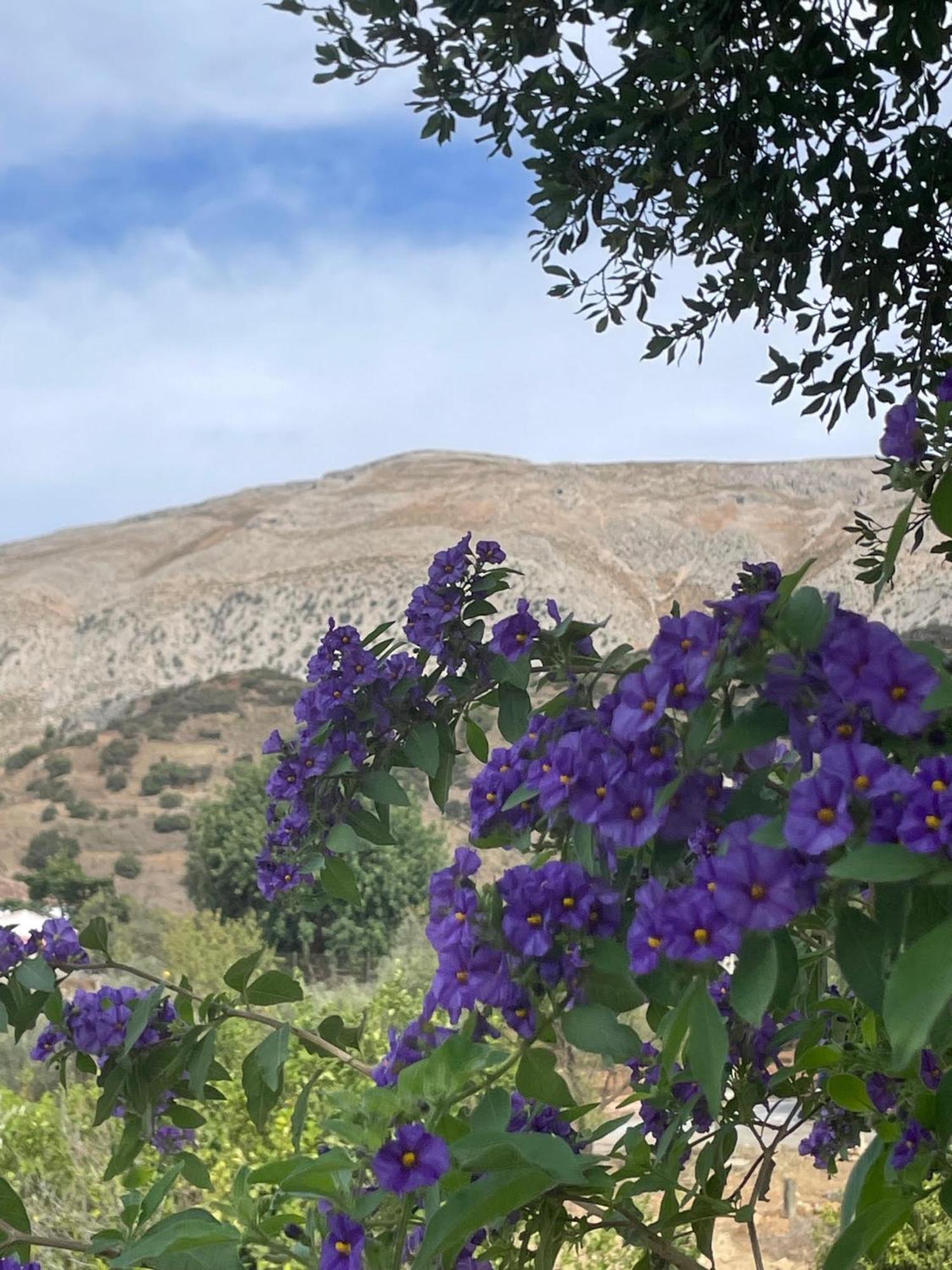 Finca Valle Verde Алора Екстериор снимка