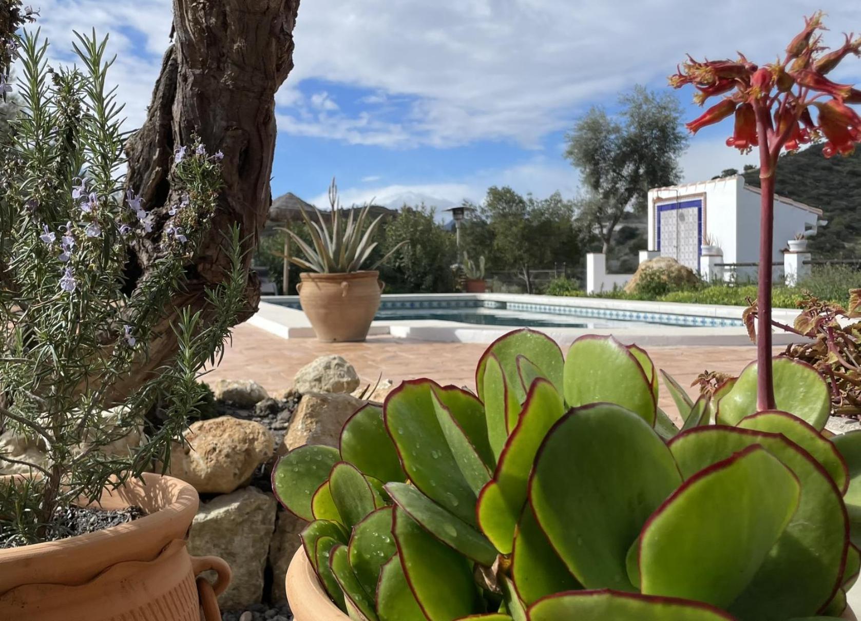 Finca Valle Verde Алора Екстериор снимка