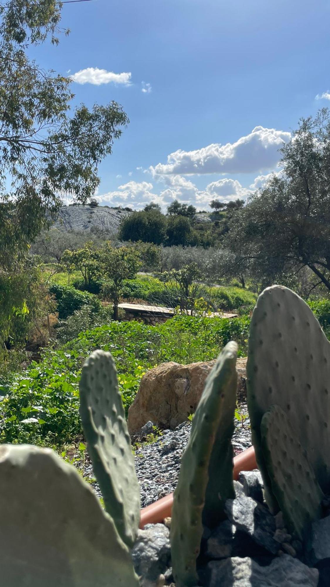 Finca Valle Verde Алора Екстериор снимка